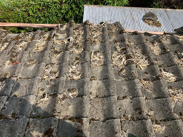 岐阜市｜ひどい詰まりの雨樋清掃！葉っぱが大量につまっていました